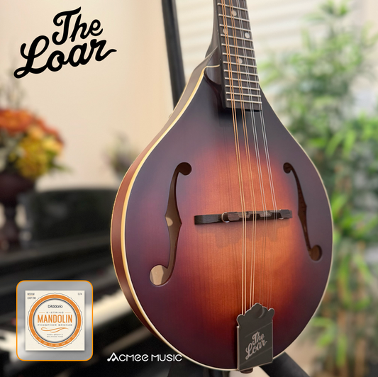 The Loar LM-110 Honey Creek A-Style Mandolin Brownburst + FREE D'addario EJ74 Strings