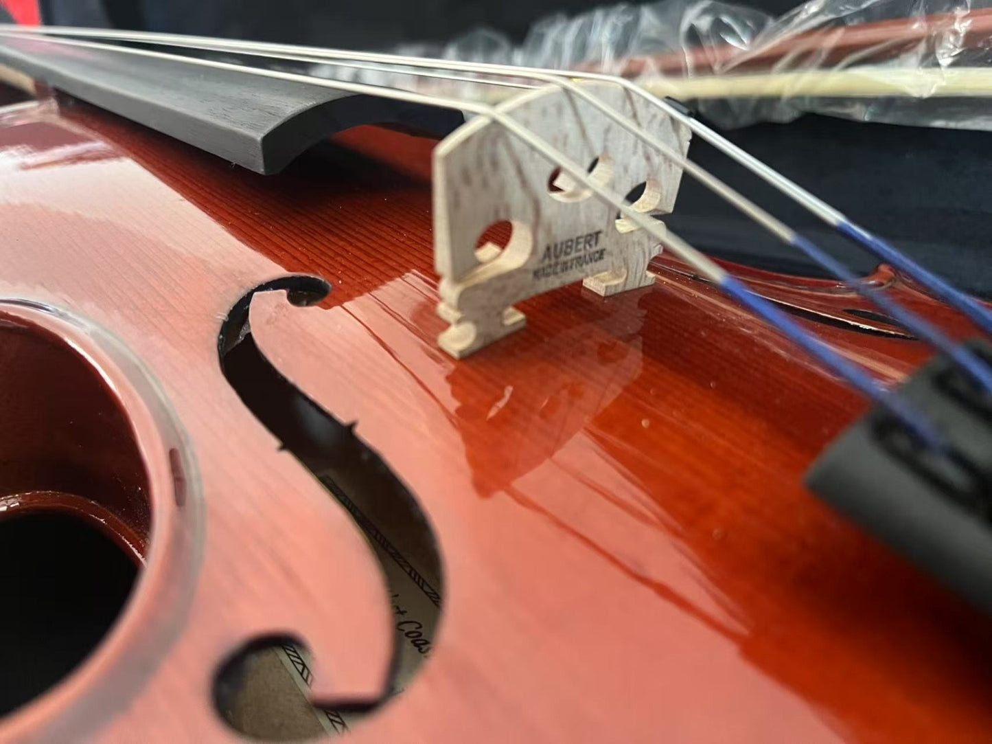 West Coast Strings Primo Va5, Viola 13" Upgraded Outfit, Bow, Rosin, Pro Setup