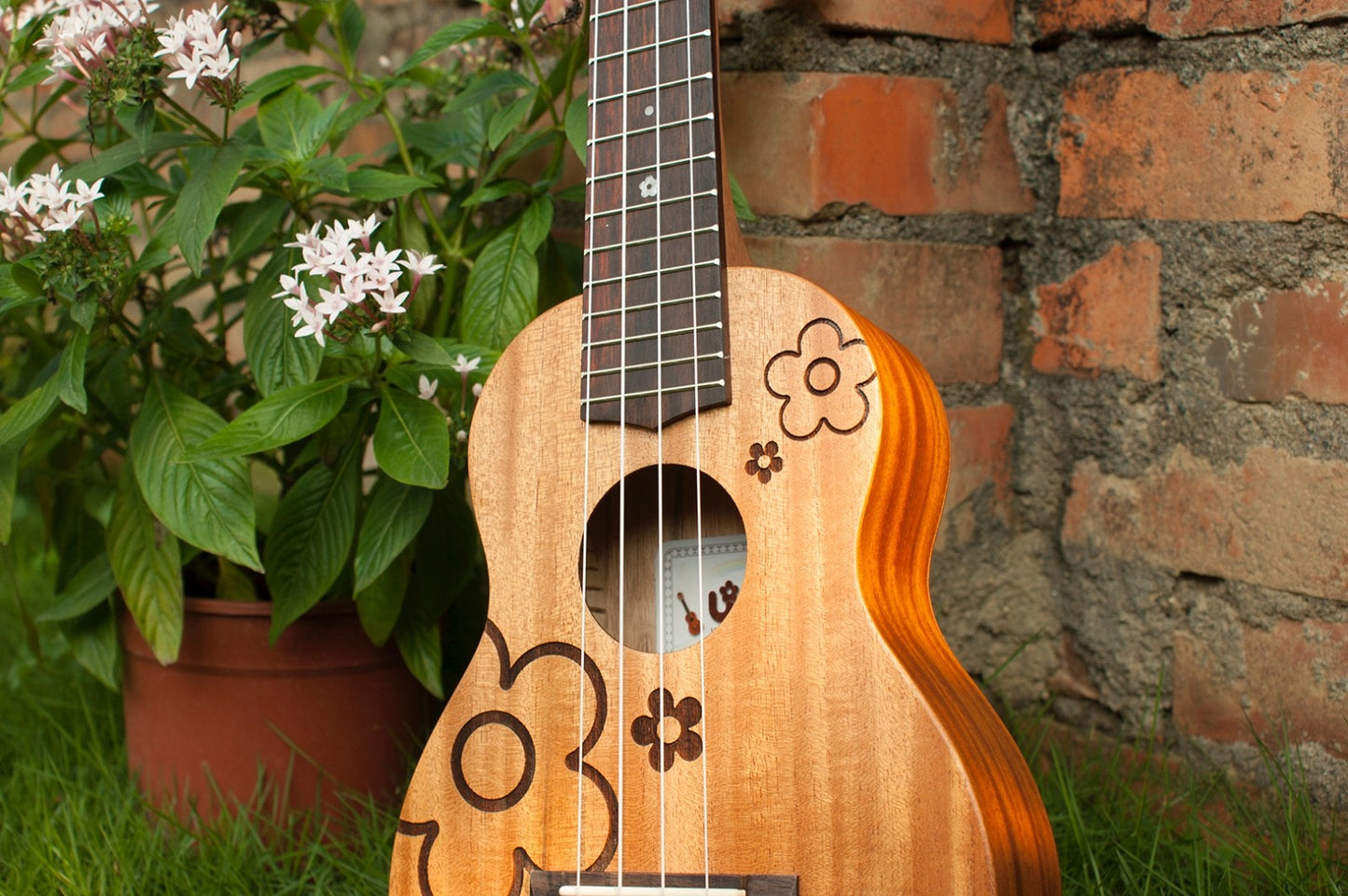 Uma Ukulele UKFL-03SSL Long Neck Soprano 21'', Tuner, Capo, Strap, Shaker, Bag