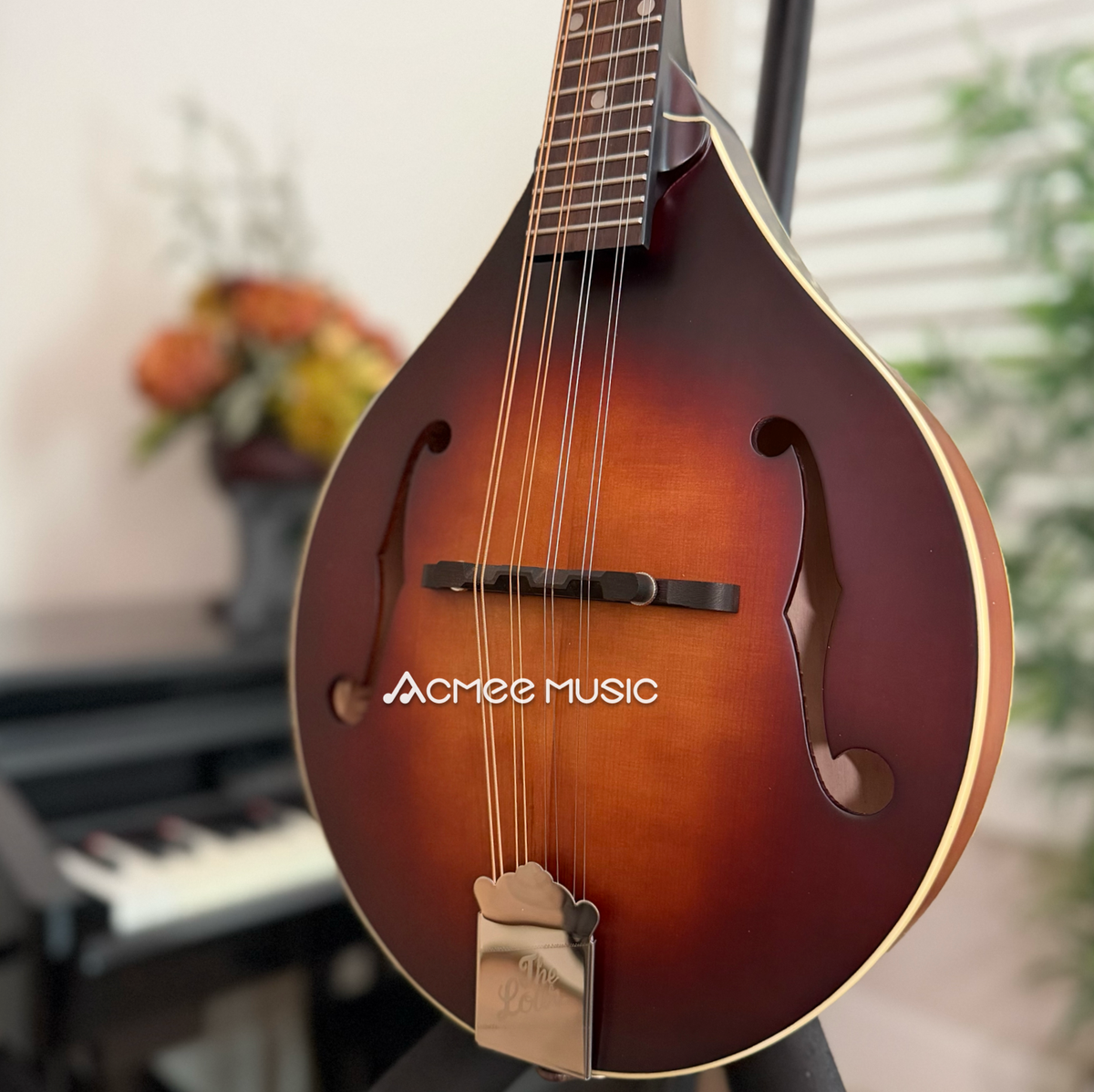 The Loar LM-110 Honey Creek A-Style Mandolin Brownburst + FREE D'addario EJ74 Strings