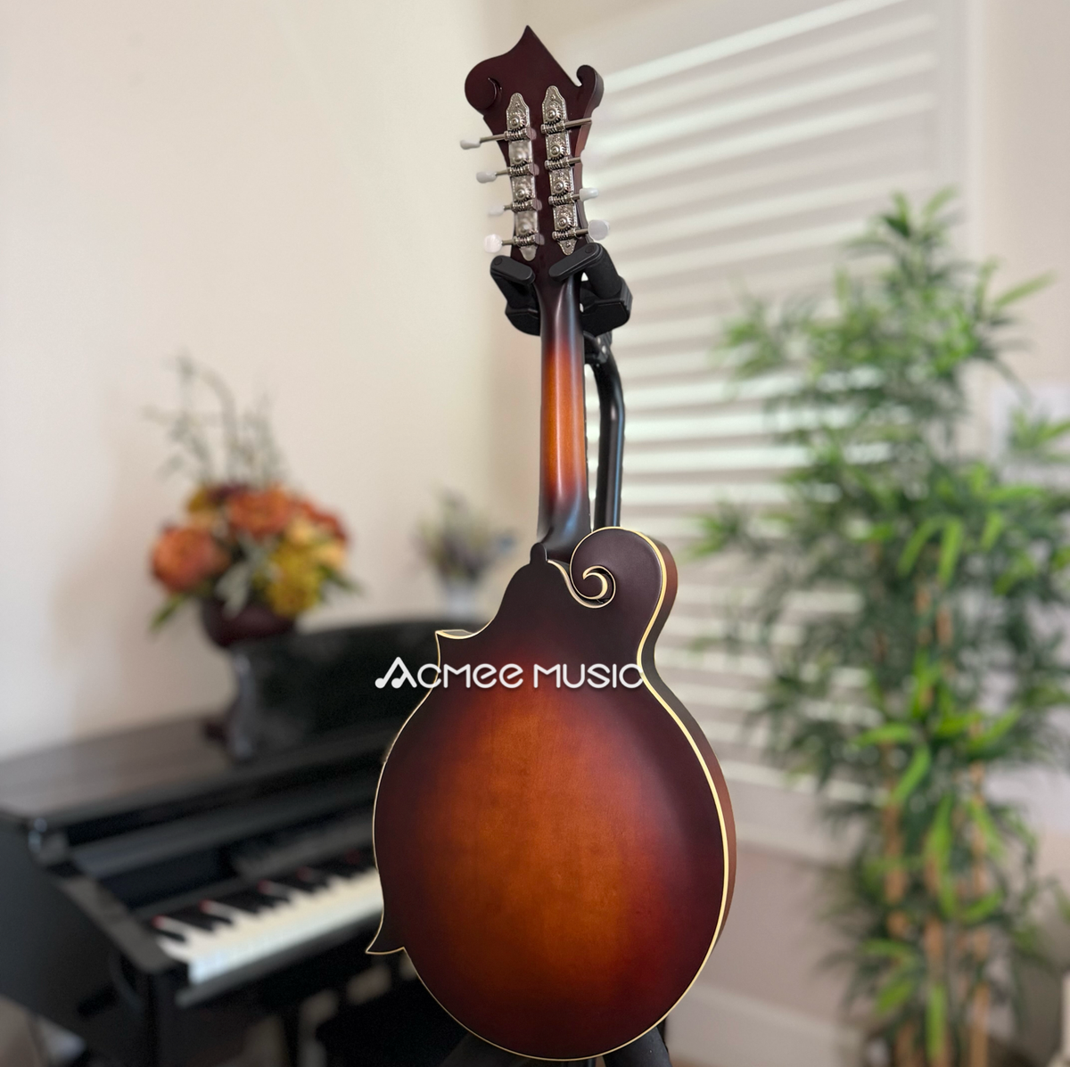The Loar LM-310F Honey Creek F-Style Mandolin Brownburst + FREE D'addario EJ Strings