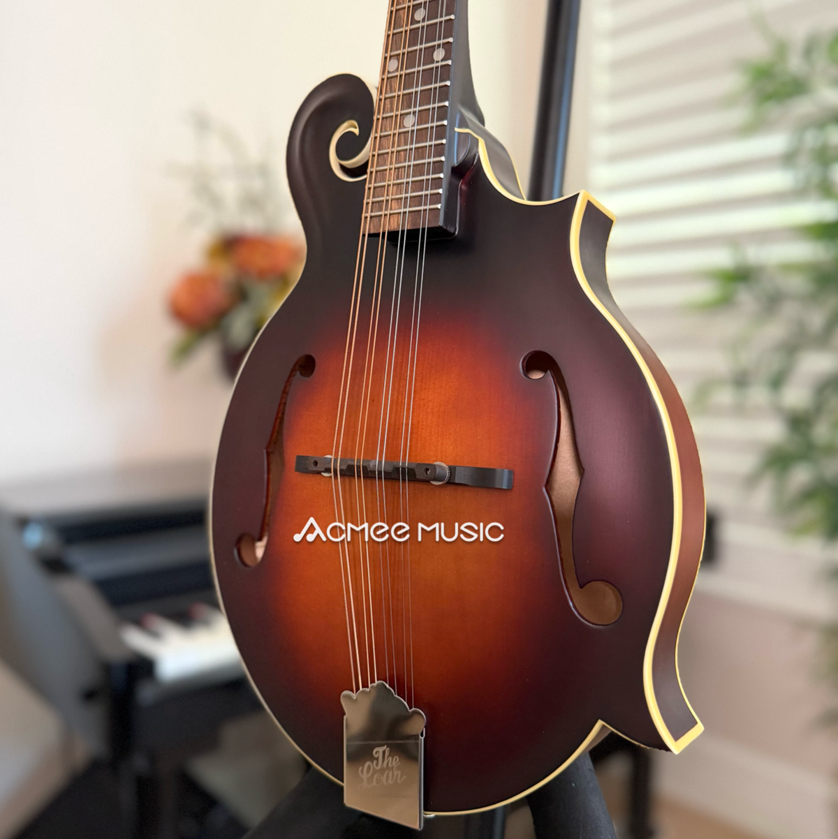 The Loar LM-310F Honey Creek F-Style Mandolin Brownburst + FREE D'addario EJ Strings
