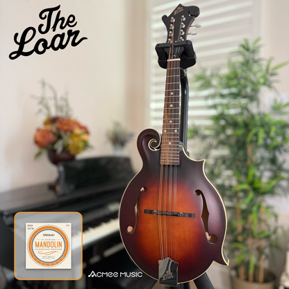 The Loar LM-310F Honey Creek F-Style Mandolin Brownburst + FREE D'addario EJ Strings