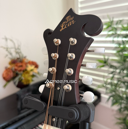 The Loar LM-310F Honey Creek F-Style Mandolin Brownburst + FREE D'addario EJ Strings