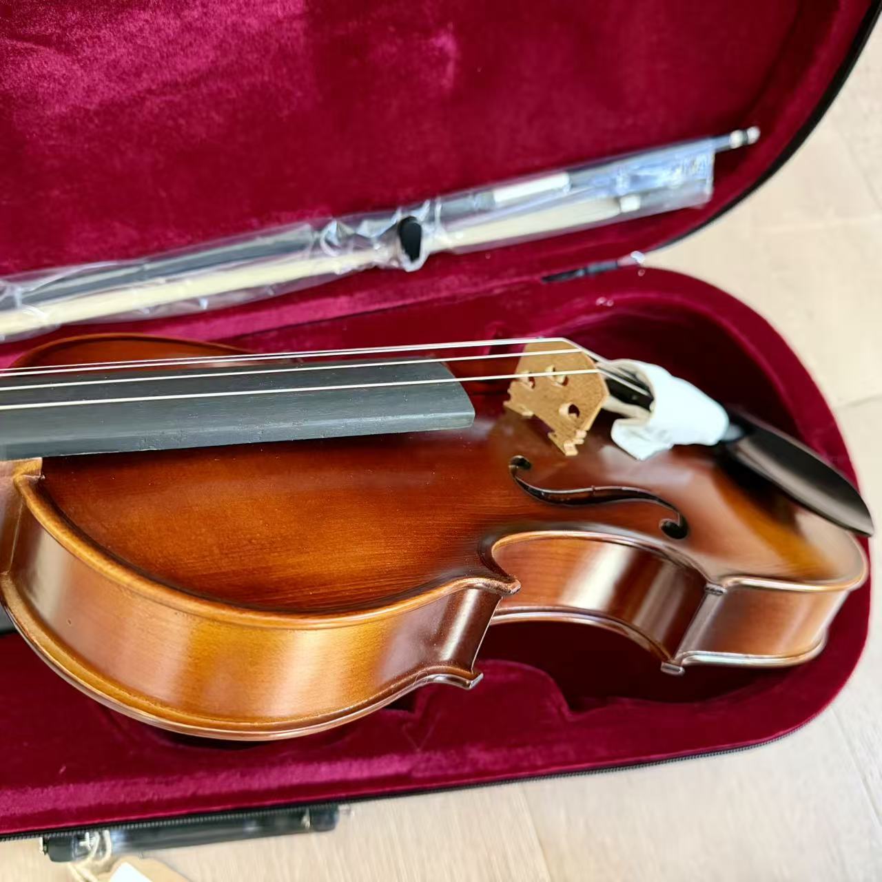 Oldenburg Student Violin Outfit Factory Adjusted Includes Case, Wood Bow & Rosin